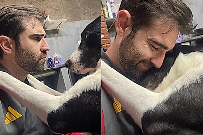 Cê é meu amigo?”: Cachorro resgatado responde tutor com abraço e derrete corações.