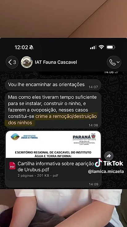 Micaela não pode remover o ovo da churrasqueira.