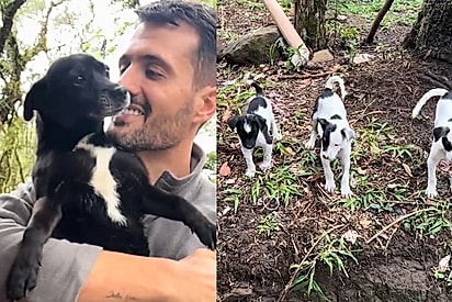“Minha cachorra sumiu, mas deixou um propósito”: busca por pet desaparecida leva homem a resgatar 6 vidas