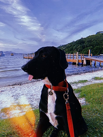 Apóllo e sua família foram morar na praia.
