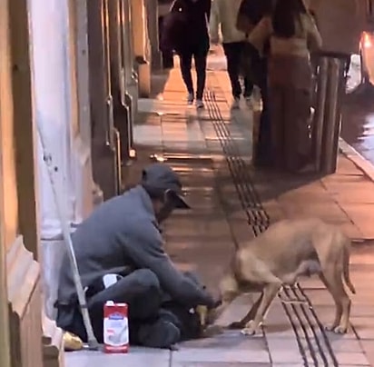 O homem compartilhando com seu cachorro aquilo que havia acabado de ganhar.