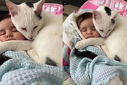 Gato resolve dormir abraçadinho com bebê e cena encanta