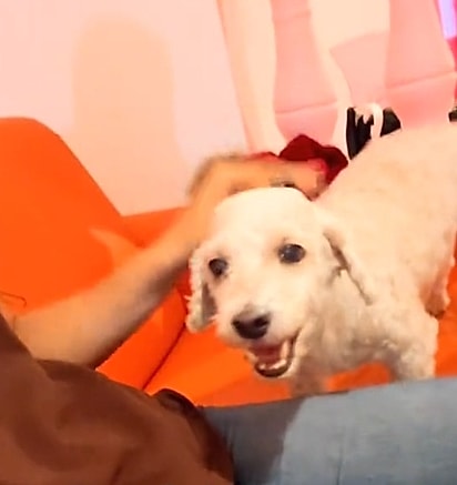 Floki encontrou a sua família.