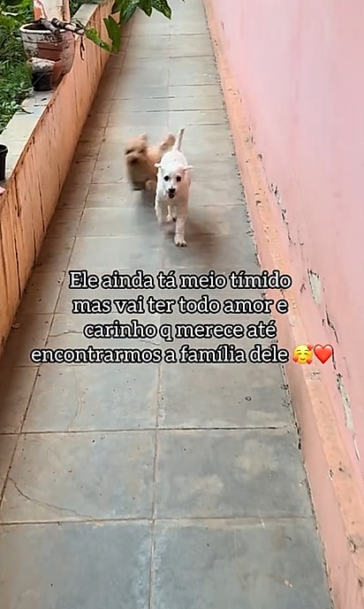 Freya ficou muito animada com o novo cachorrinho.
