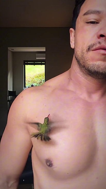 A ave ficou com Ivandro por aproximadamente 30 minutos antes de voltar para a natureza.