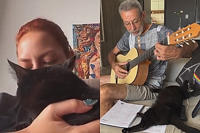 “Ela não conseguiu salvar minha irmã, mas acabou salvando a gente”: família se despede de gata após 13 anos