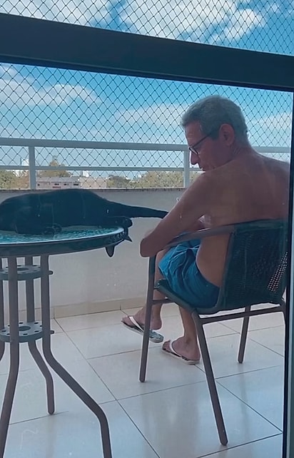Pretinha trouxe mais alegria para a família. 