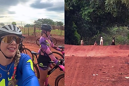 Gangue do caramelo: ciclistas se surpreendem com barreira de cães em estrada de terra e vídeo viraliza