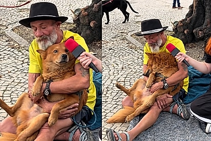O homem salvou o cão que estava amarrado em uma árvore e doente.