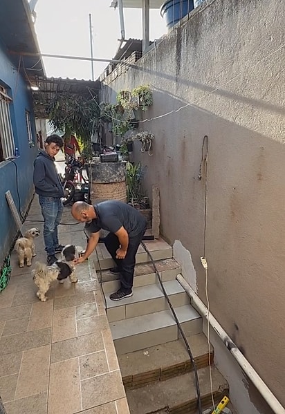 Os cães acompanhavam cada etapa da obra.