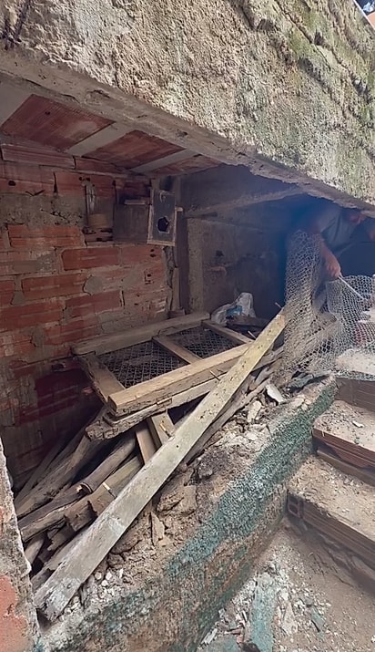Um espaço escuro e abandonado embaixo de uma rampa foi transformado em um cantinho para os pets.