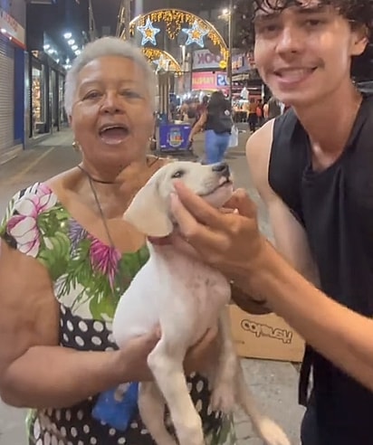 Depois de cerca de 14 horas, uma mulher se aproximou e decidiu adotar o filhote.