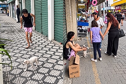 “Eu nunca vou desistir”: Influenciador passa 14 horas na rua até conseguir família para filhote abandonado.
