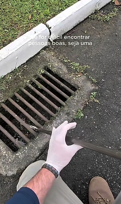 Com cuidado, o biólogo retirou os pequenos um a um.