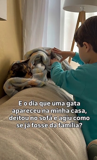 Pedro se apaixonou pela gatinha.