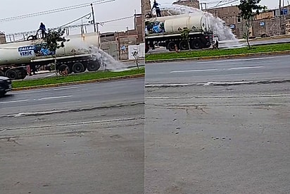 Banho de mangueira: Cães se divertem com água de caminhão-pipa em avenida e viralizam nas redes sociais