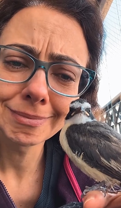 Durante cerca de seis meses, a veterinária acompanhou de perto o crescimento e a preparação de Bento para voltar à natureza.