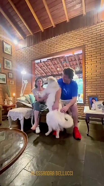 Daniela foi até o cão para conhecê-lo.