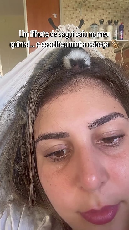 O filhote subiu por conta própria na cabeça de Aline.