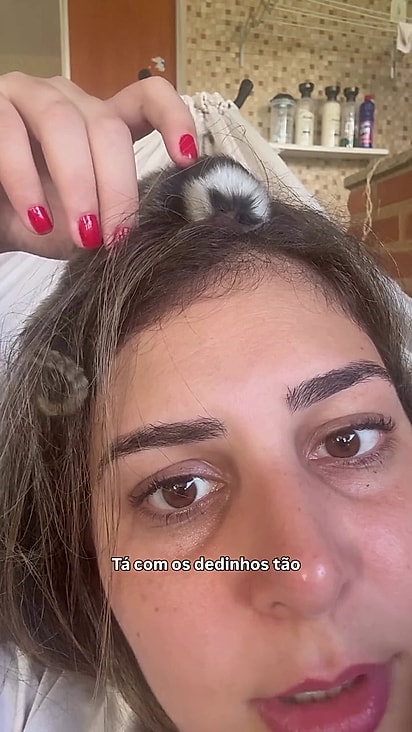 Aline não sabia o que fazer para tirar o sagui do seu cabelo.