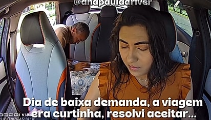 O tutor forrando o banco do carro.