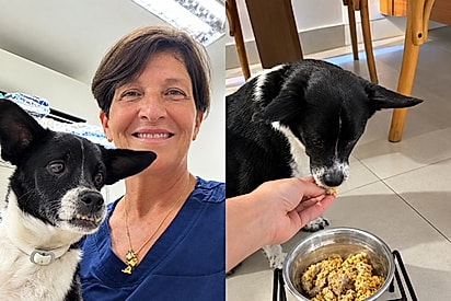 Cachorrinho se alimenta pela primeira vez sem engasgar após tratamento e cena emociona