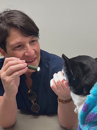 Paloma conseguiu uma consulta com a veterinária Maria Angela, famosa por criar próteses para animais.