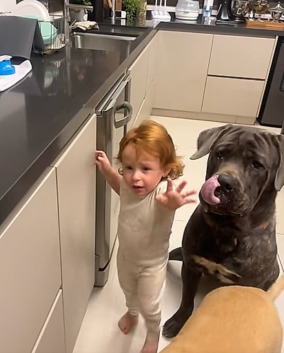 Sissi e Baccio esperando pela maçã.