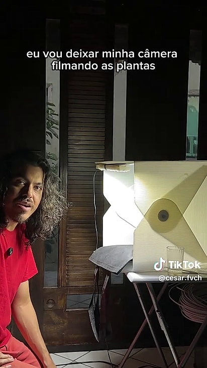O autor do vídeo filmou a ressurreição da planta.