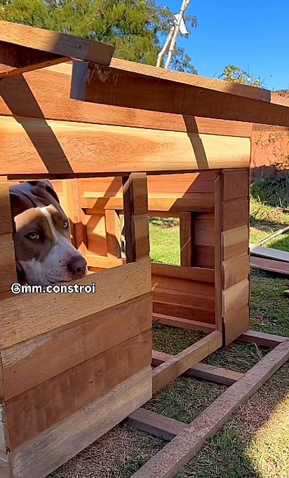 Nina fiscalizou cada etapa da obra.