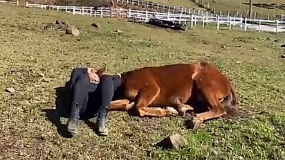 Iasus virou símbolo de resistêcia.