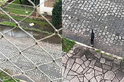 “Ela surge do nada quando ouve minha voz”: Mulher cuida de gatinha de rua e agora busca família para adotá-la.