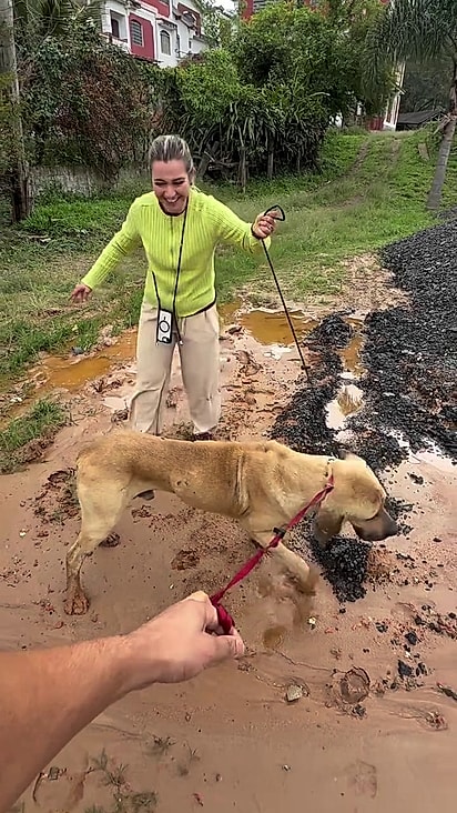 Gabriela é adestradora e ajudou a conter a agressividade do cão.