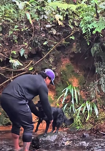 Diego decidiu ajudar a cachorrinha. 