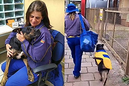 Conheça Duque, um cão que ganhou uniforme e passou a acompanhar carteira em rotas diárias de entrega no Rio Grande do Sul