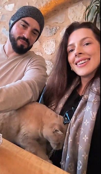 Durante um passeio, um gatinho de rua se aproximou de Cris e começou a se esfregar em sua barriga.
