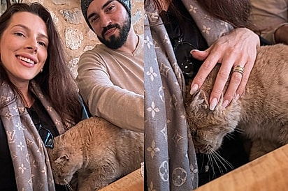 “Tá grávida, amiga!”: Gatinho de rua se esfrega na barriga de brasileira durante lua de mel e surpresa vem dias depois.