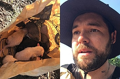 “Ele só queria agradecer por um milagre”: Homem faz peregrinação por seu cão e acaba salvando outras vidas.