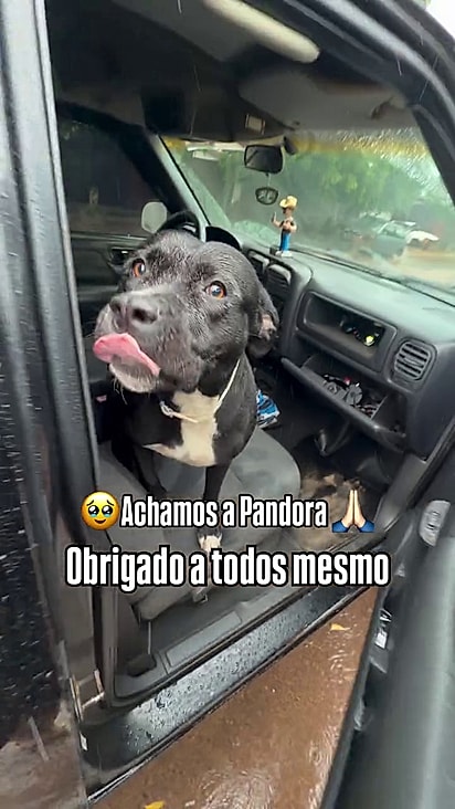 Pandora retornou para casa.