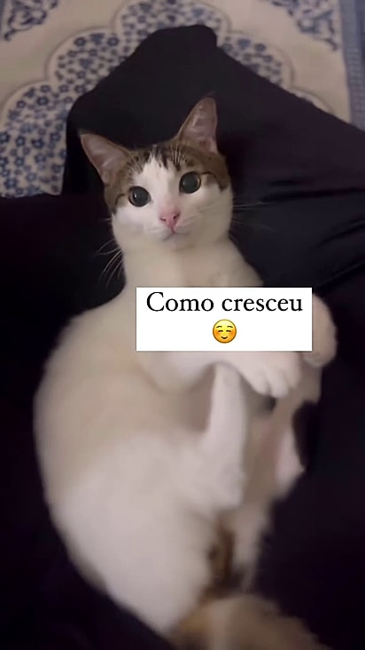O filhote cresceu e está seguro e saudável.