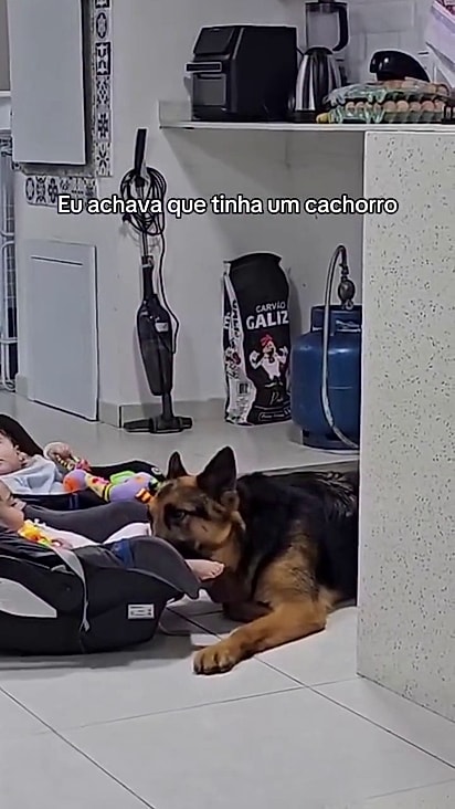 Ele adora observar as gêmeas.