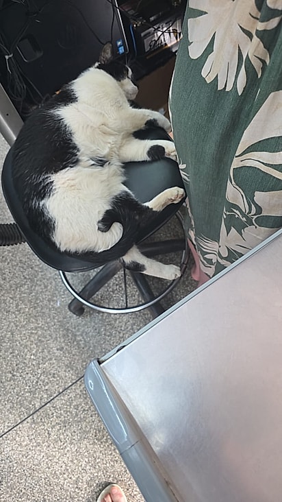 Quando não está trabalhando nos caixas ele descansa nas cadeiras.
