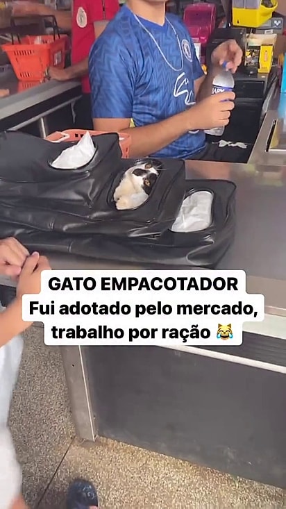 Ele já é prenseça oficial entre em clientes.