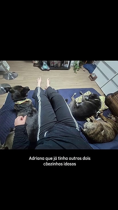 Agora ela tem uma família.