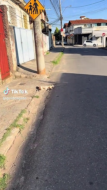 Gui foi direto ao lado resgatá-la.