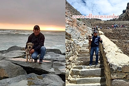 O cão acompanha o tutor em diversas aventuras.