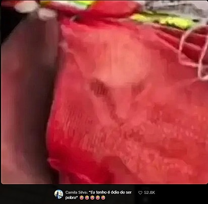 Internautas riram da cara descontente do gato. 