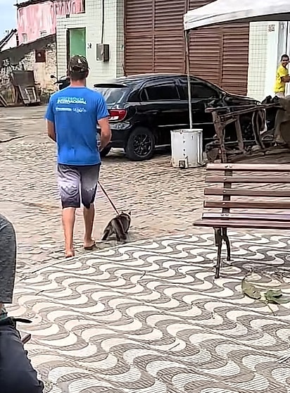 Um tutor levou o gato na coleira. 