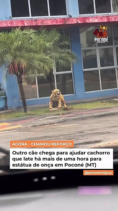 A escultura foi colocada em frente à prefeitura.