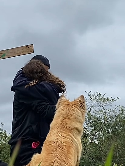 A cachorrinha ficou assistindo.